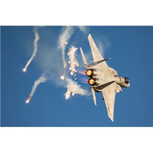 זאבי - תמונה זאבי - תמונה