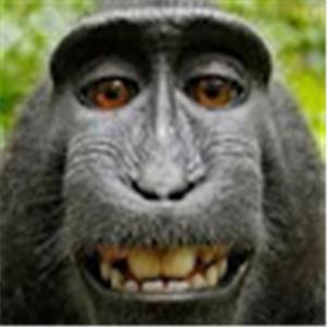 michal325982 - תמונה