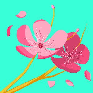 hanna7bon - תמונה hanna7bon - תמונה