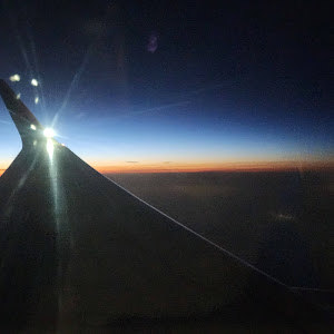 chaimrose6 - תמונה