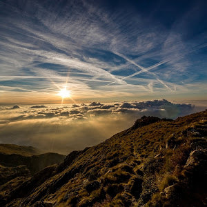 6742898 - תמונה