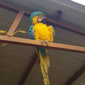 danielle.r1804 - תמונה