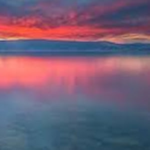 jenny.bar.projects - תמונה