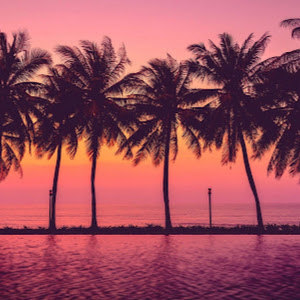 hodayaf100 - תמונה