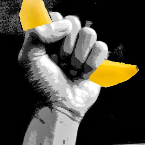 liorkogan555 - תמונה liorkogan555 - תמונה