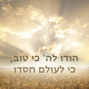rachely.peretz91 - תמונה rachely.peretz91 - תמונה