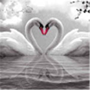 odel7101 - תמונה odel7101 - תמונה