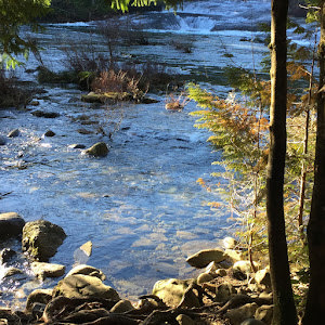 oshrat117 - תמונה