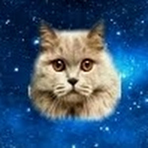 thebestcatstory - תמונה