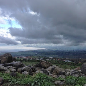 אורנה - תמונה