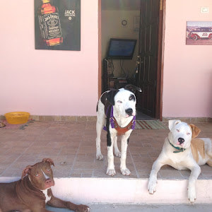 lil.kushnir - תמונה