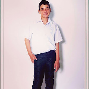 bavib.0527014 - תמונה