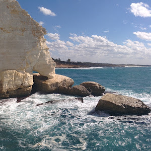 raya37 - תמונה raya37 - תמונה