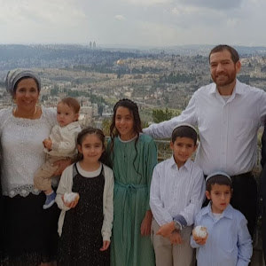 amielaa - תמונה