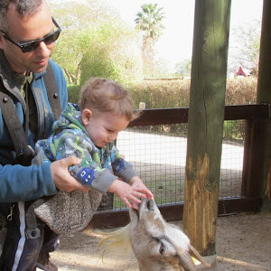 eitanklein - תמונה