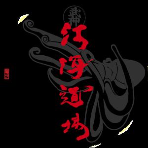 red.sea.dojo - תמונה