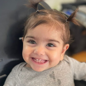 sapirzitrin2014 - תמונה