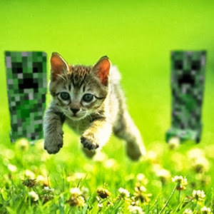 liorpanz - תמונה