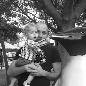 zzed11 - תמונה zzed11 - תמונה