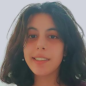 m089945890 - תמונה