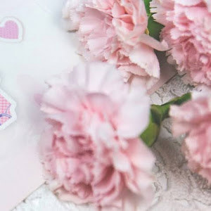 danaasraf10 - תמונה