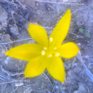 eliya9965029 - תמונה