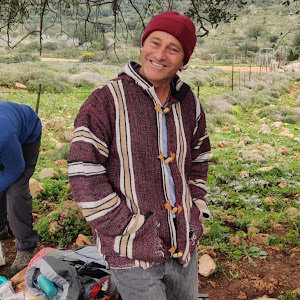 nitaygefen - תמונה