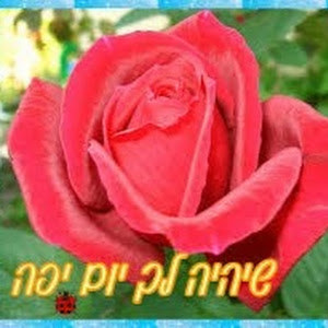 hagith09 - תמונה hagith09 - תמונה
