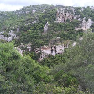 y052618goldschmidt - תמונה y052618goldschmidt - תמונה