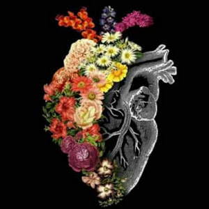 Donia - תמונה Donia - תמונה