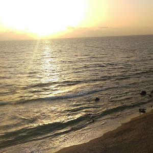 benoved9 - תמונה benoved9 - תמונה