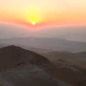 daromash - תמונה