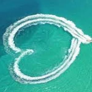 זיו בנגו - תמונה זיו בנגו - תמונה