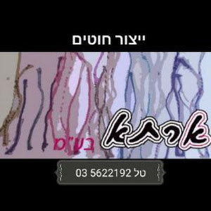 אלי - תמונה אלי - תמונה