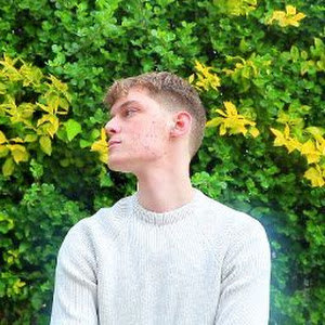 זאס גןרן - תמונה זאס גןרן - תמונה