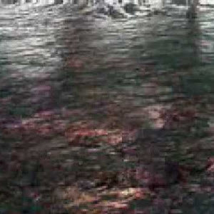 Emiliano - תמונה