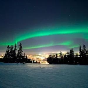 אביב  - תמונה אביב  - תמונה