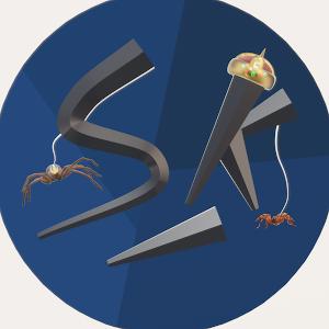 אייל מובשוביץ - תמונה אייל מובשוביץ - תמונה