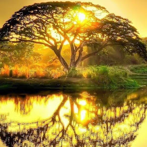 amit1234107 - תמונה