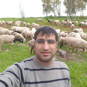 yanivtiki810 - תמונה