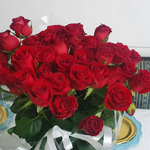 6542546 - תמונה 6542546 - תמונה