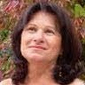 frida.shapira - תמונה frida.shapira - תמונה