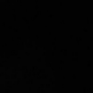 tali200604 - תמונה tali200604 - תמונה