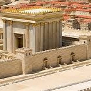 talaaa37 - תמונה