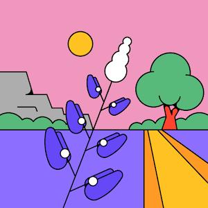 meteorbcd - תמונה