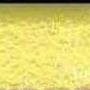 רוי - תמונה רוי - תמונה