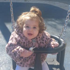 rivishteren - תמונה