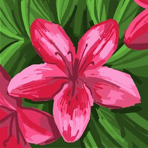 oringross - תמונה