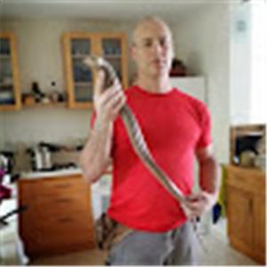 גלעד - תמונה