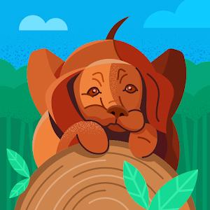 adammednik5 - תמונה adammednik5 - תמונה